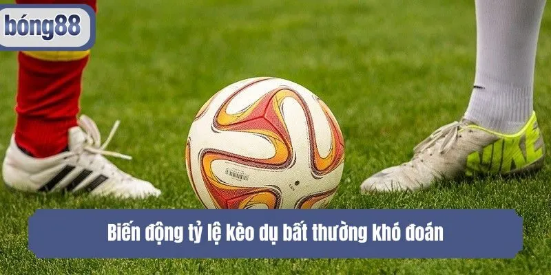 Biến động tỷ lệ kèo dụ bất thường khó đoán