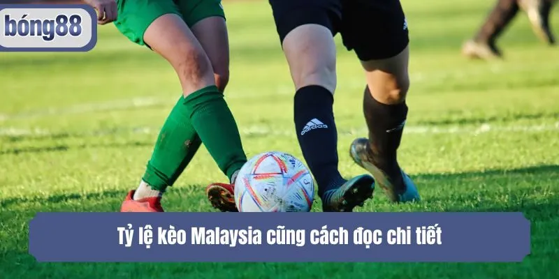 Tỷ lệ kèo Malaysia cũng cách đọc chi tiết